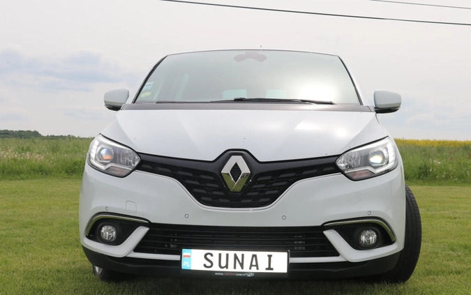 Renault Grand Scenic cena 64300 przebieg: 129801, rok produkcji 2019 z Rydzyna małe 704